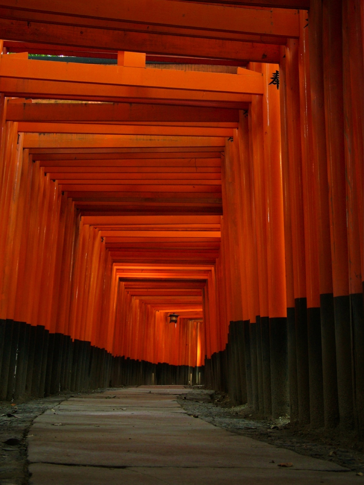 京都秋季寺院與樹木景色